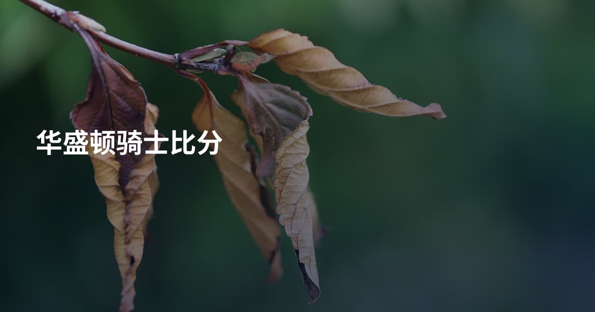 华盛顿骑士比分