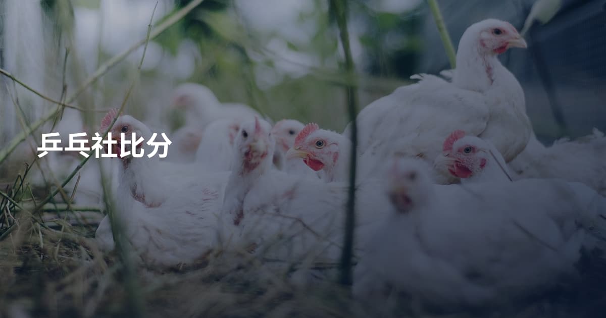 乒乓社比分