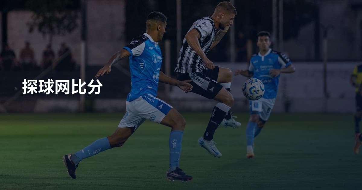 探球网比分