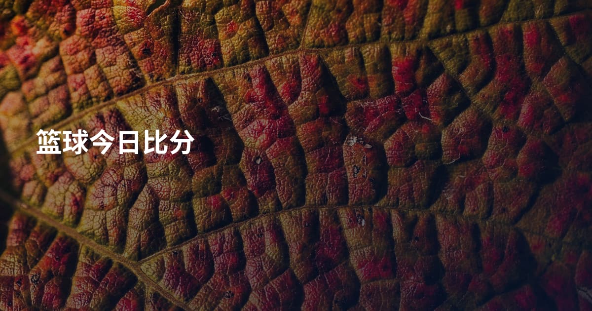 篮球今日比分