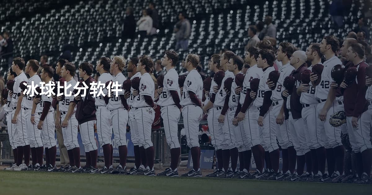 冰球比分软件