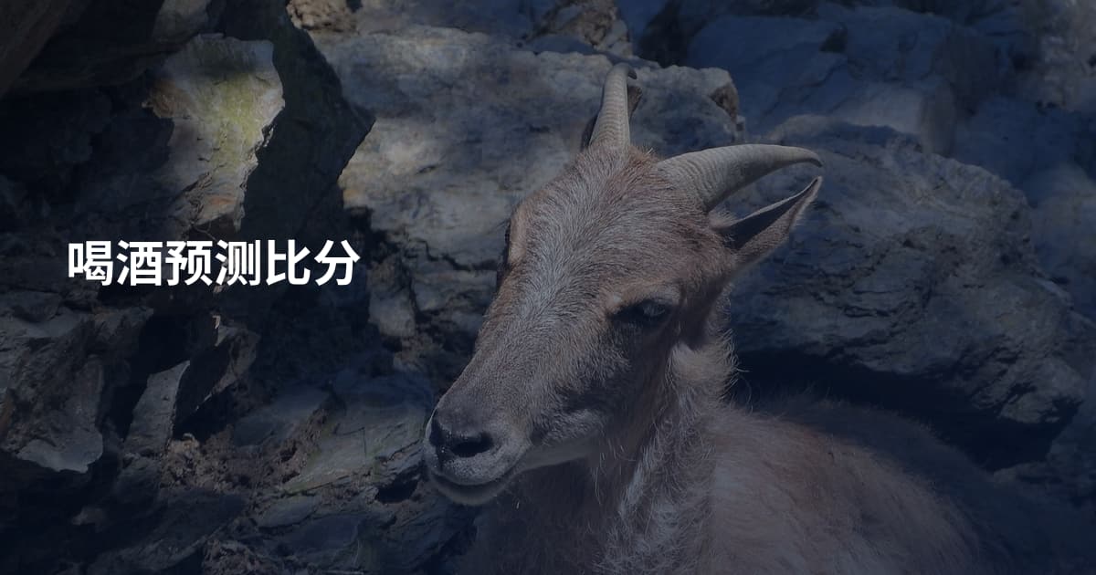喝酒预测比分