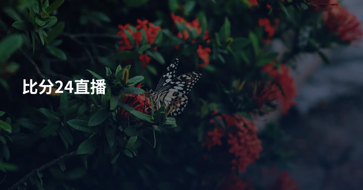 比分24直播