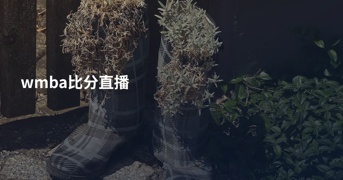 wmba比分直播