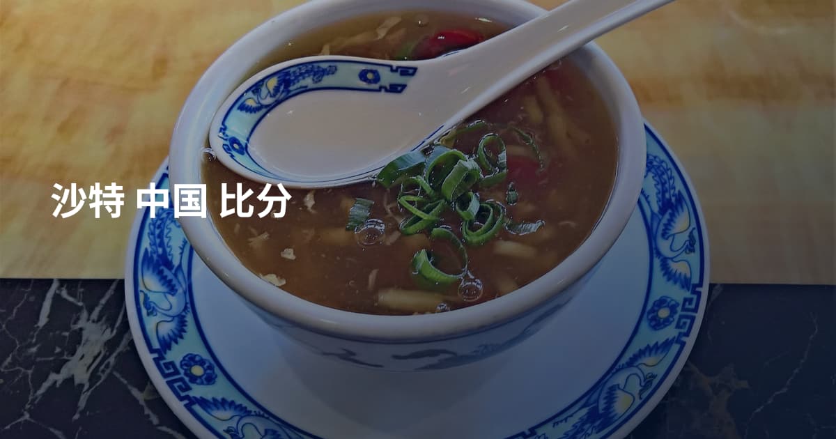 沙特 中国 比分