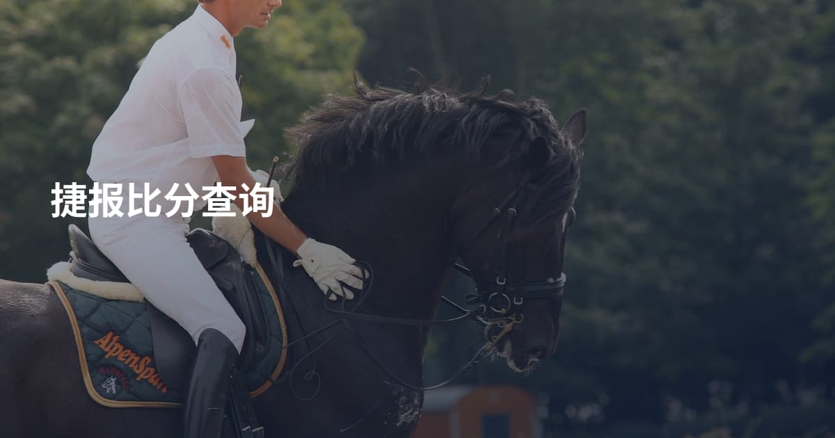 捷报比分查询