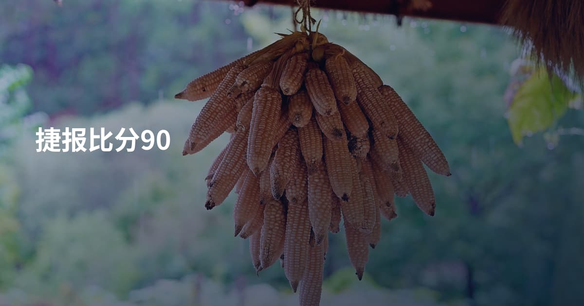 捷报比分90