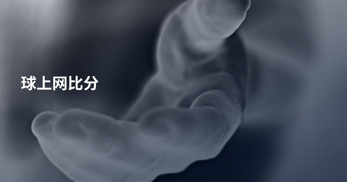 球上网比分