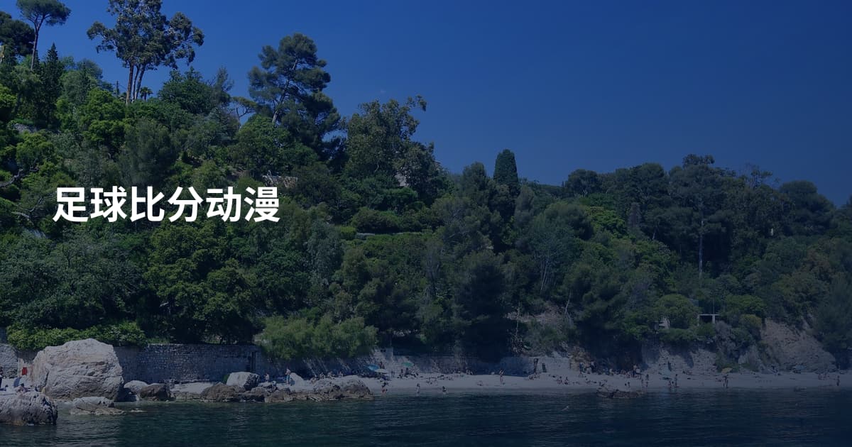 足球比分动漫