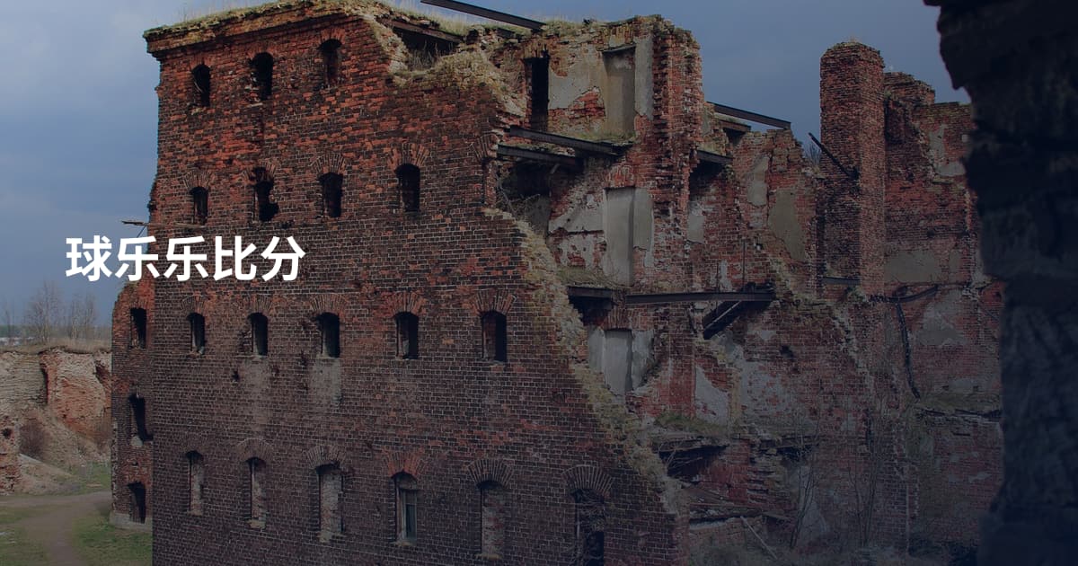 球乐乐比分