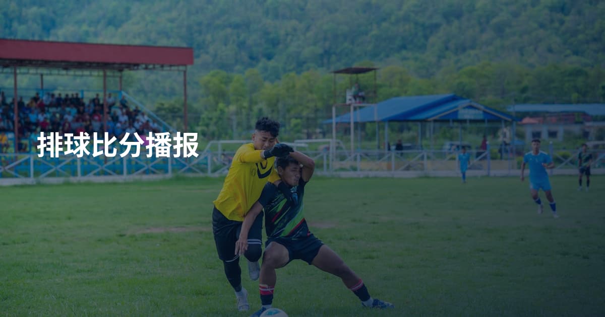 排球比分播报