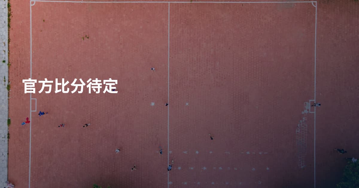 官方比分待定