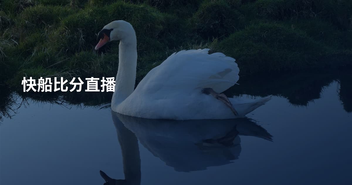 快船比分直播