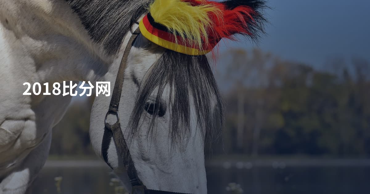 2018比分网
