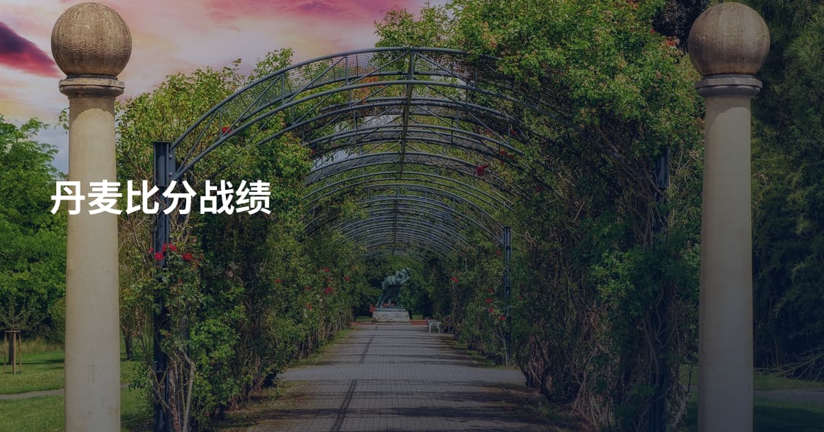 丹麦比分战绩