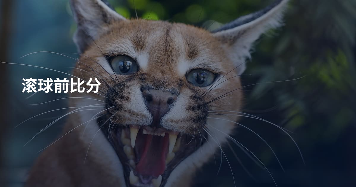 滚球前比分