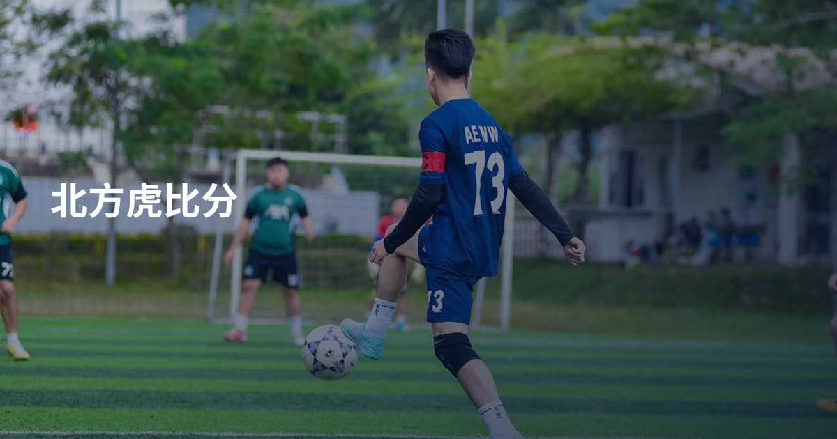 北方虎比分