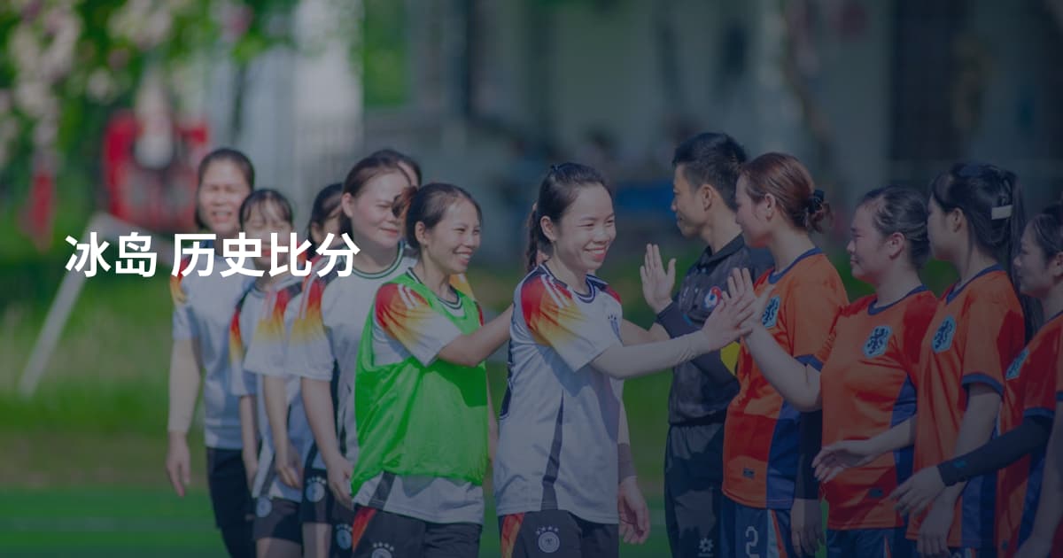冰岛 历史比分