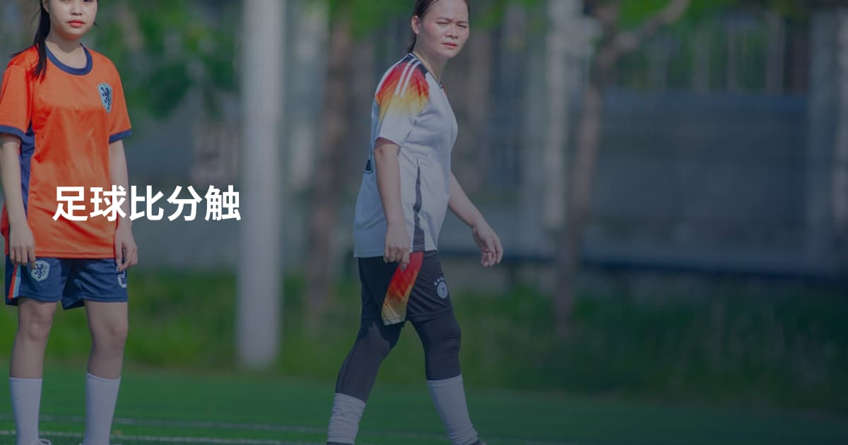 足球比分触