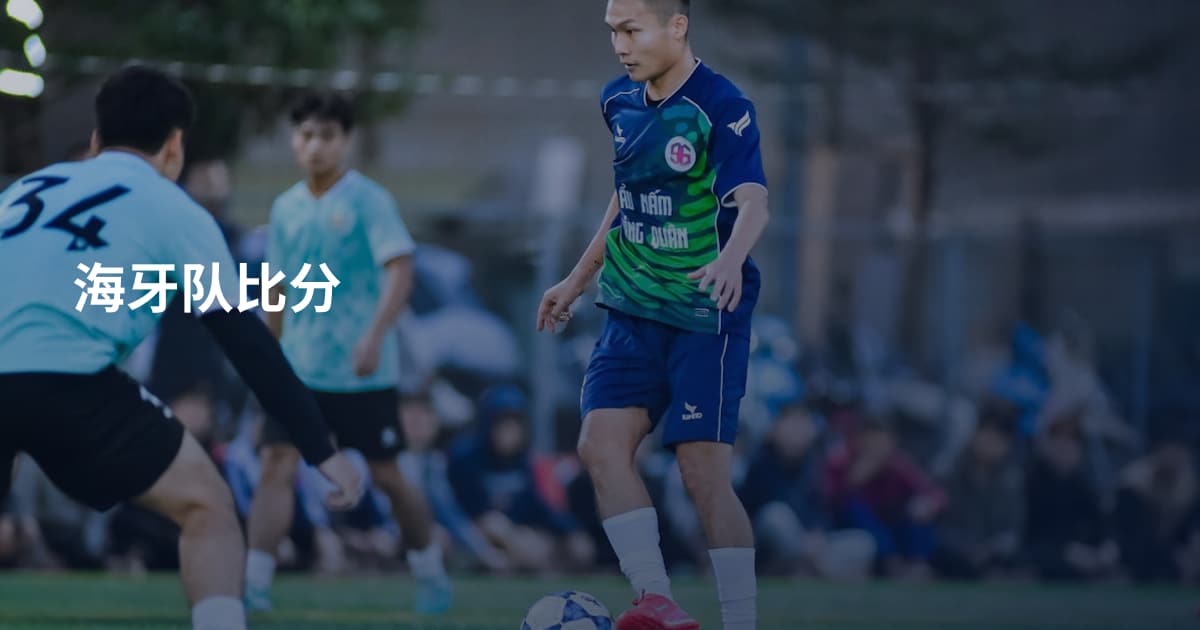 海牙队比分
