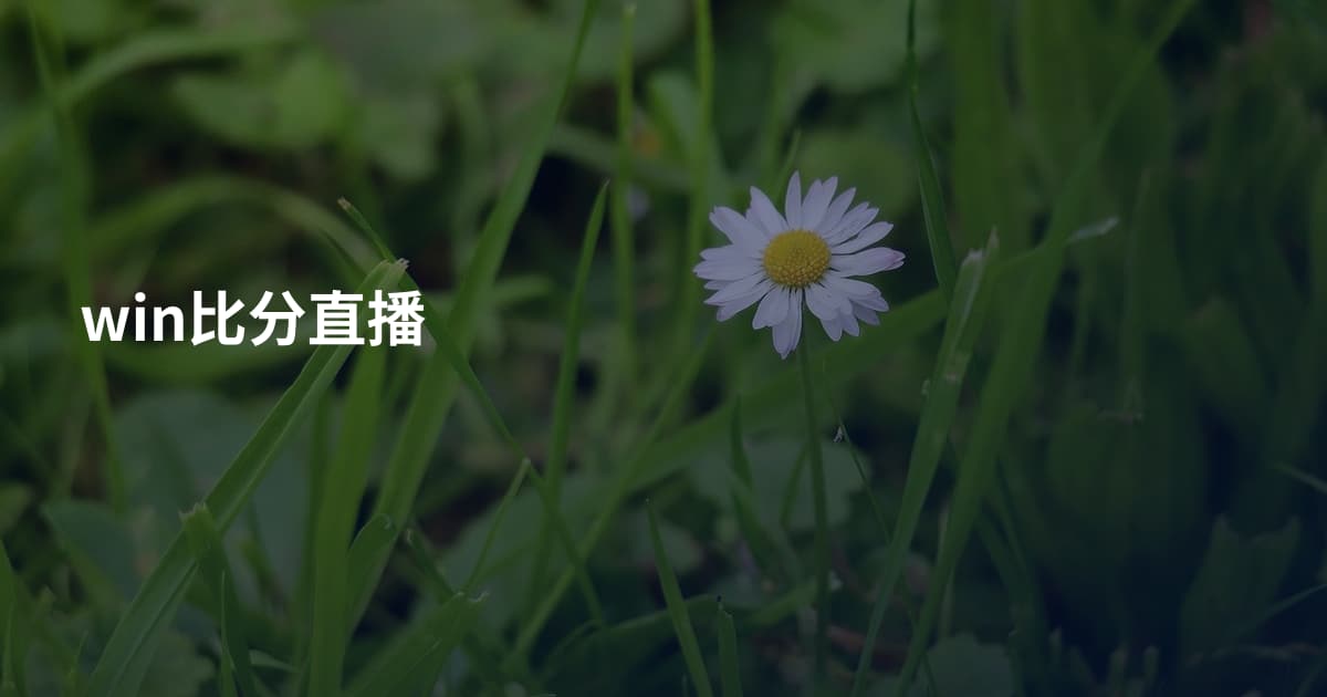 win比分直播