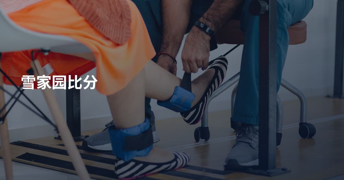 雪家园比分
