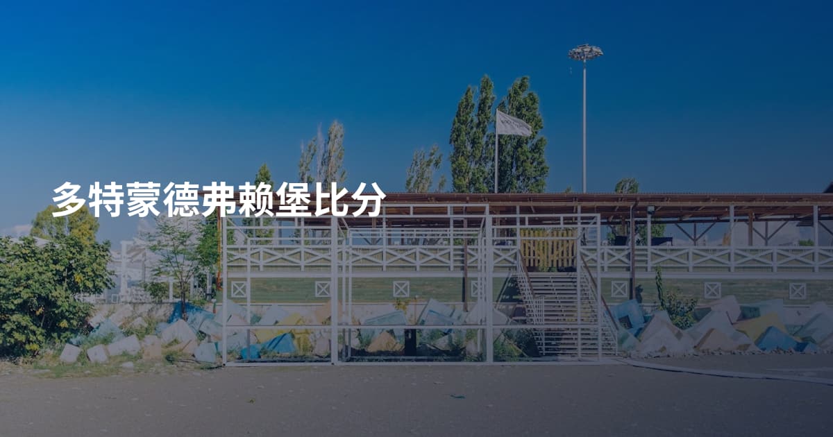 多特蒙德弗赖堡比分