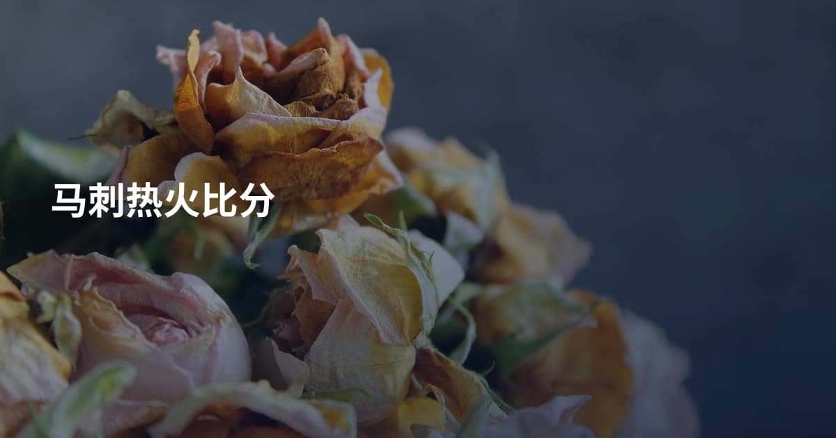马刺热火比分