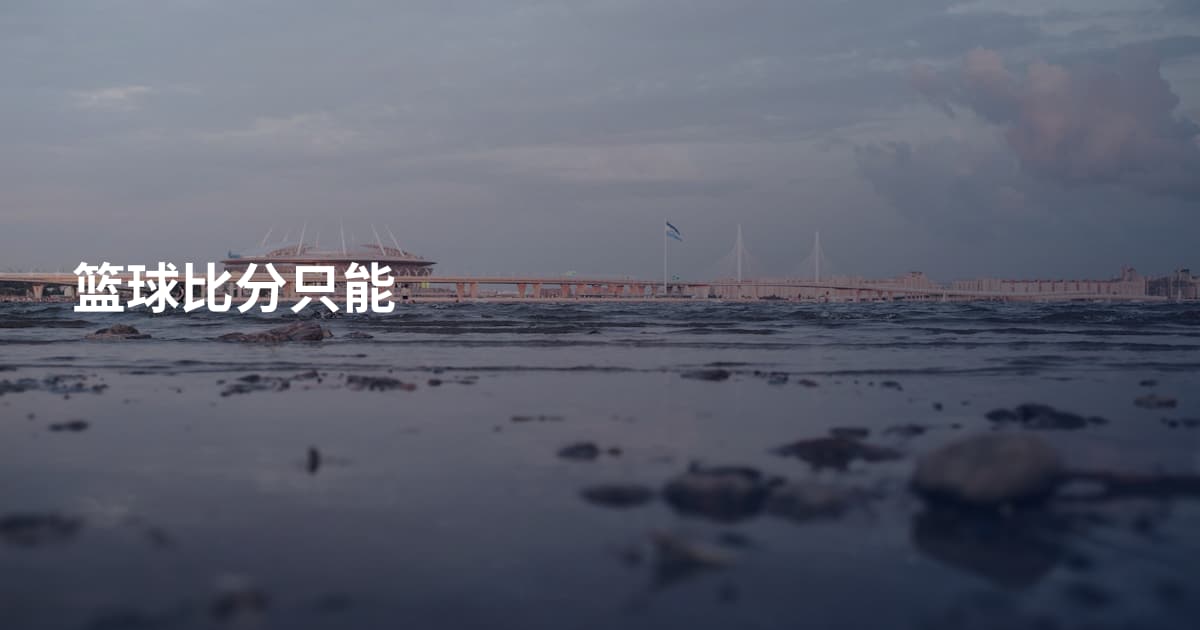 篮球比分只能
