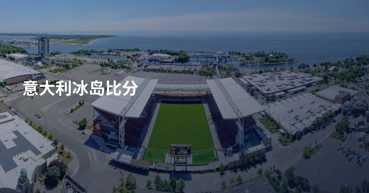 意大利冰岛比分