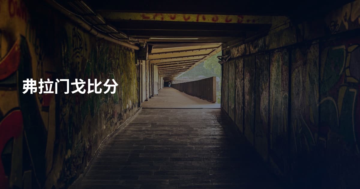 弗拉门戈比分