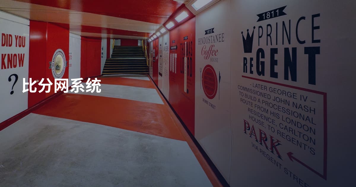 比分网系统