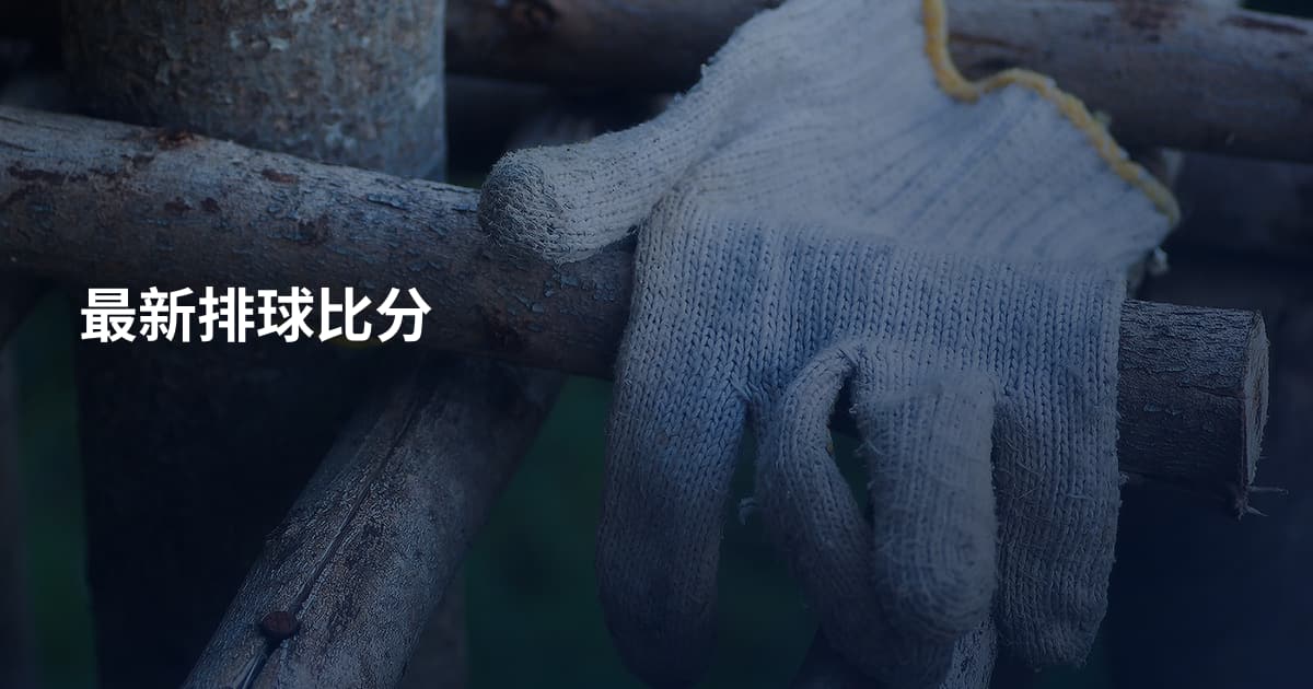 最新排球比分