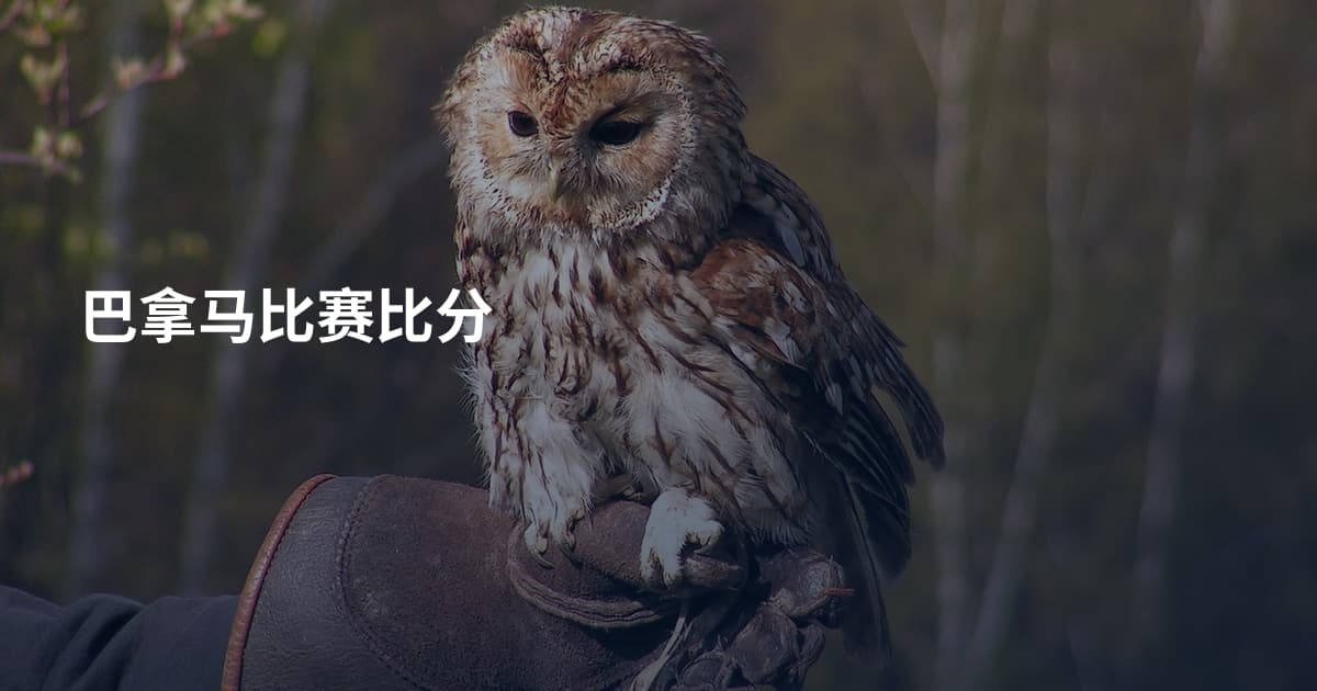 巴拿马比赛比分
