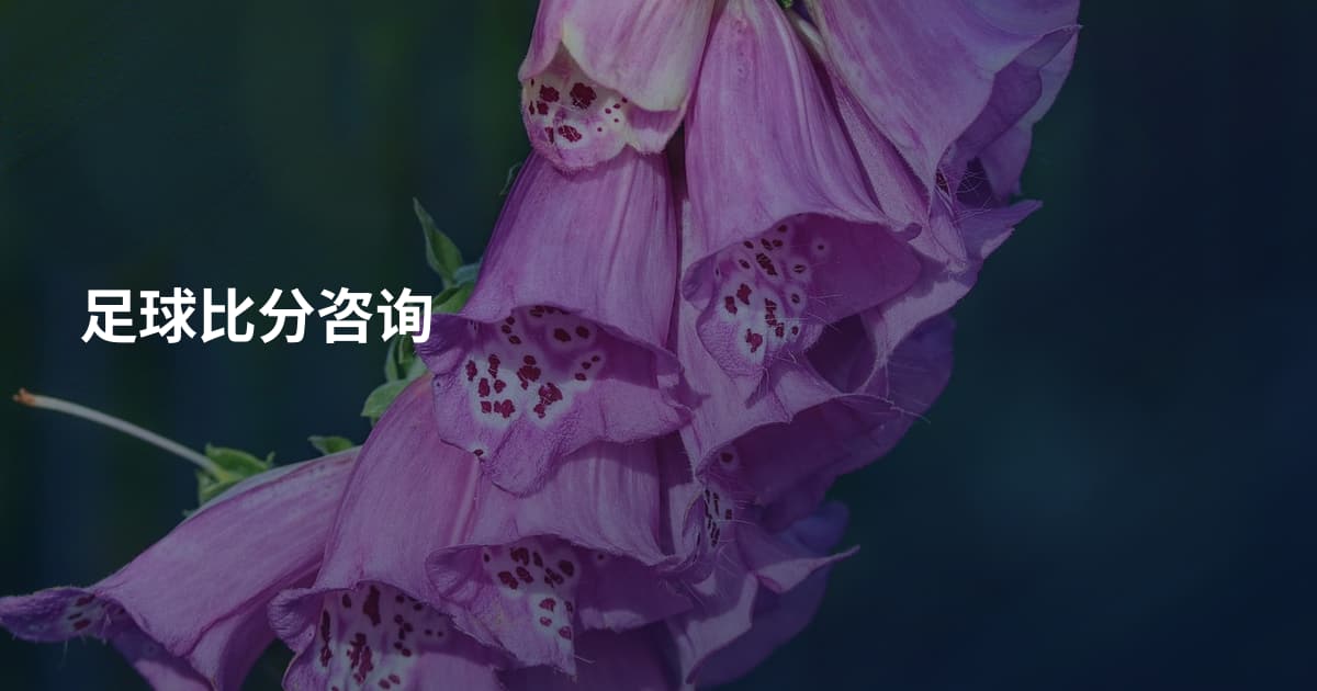 足球比分咨询
