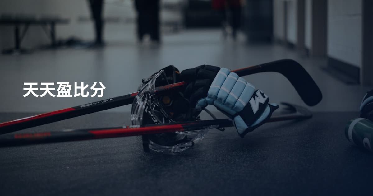 天天盈比分