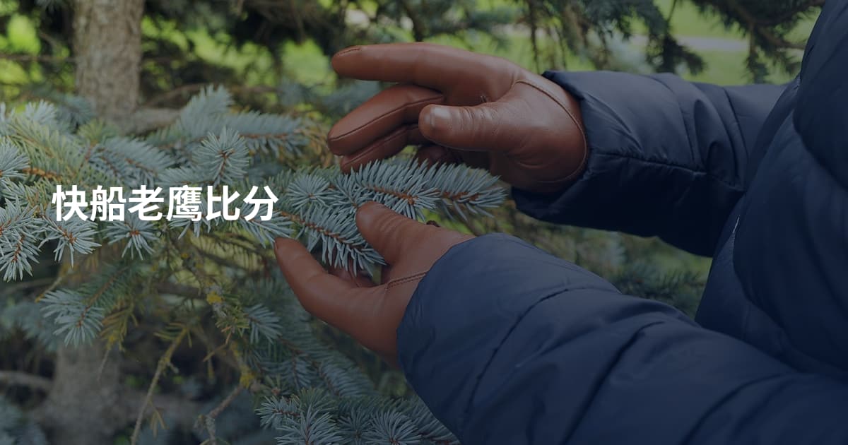 快船老鹰比分