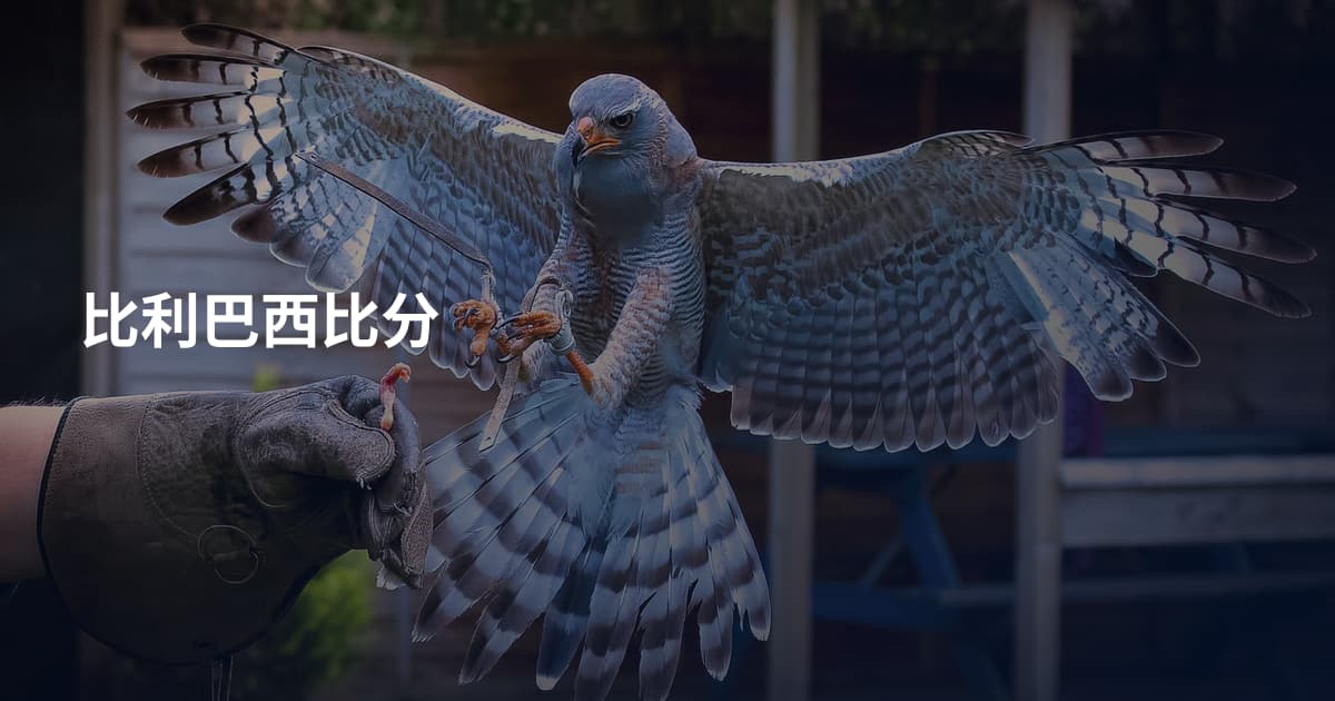 比利巴西比分