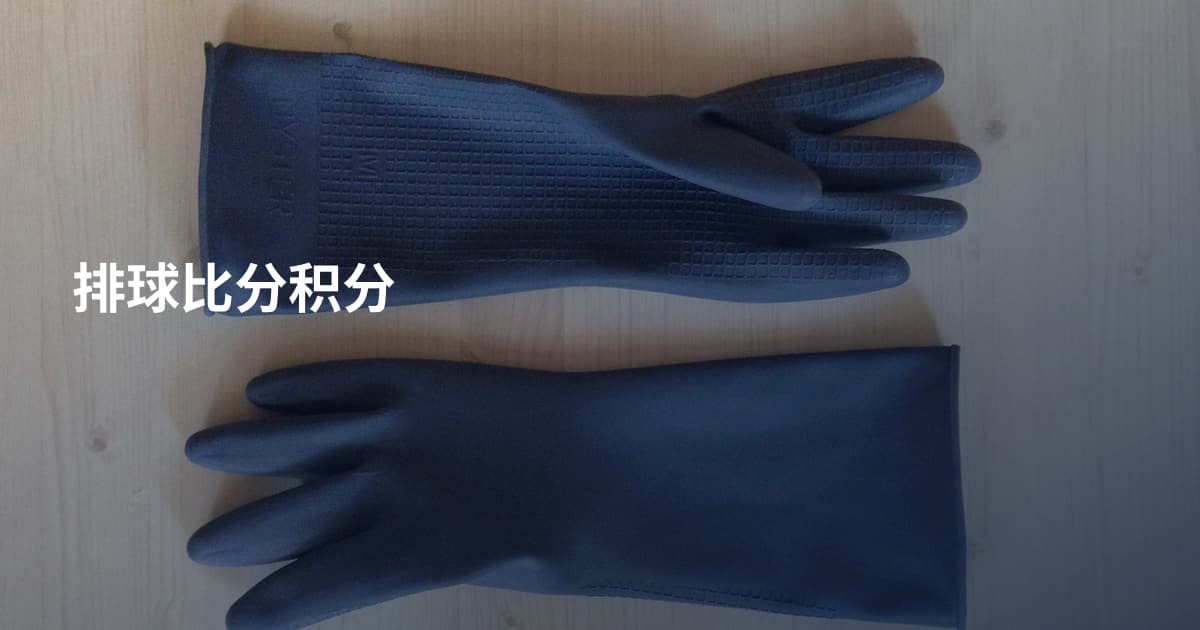 排球比分积分
