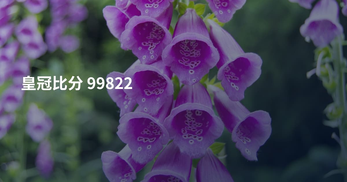 皇冠比分 99822