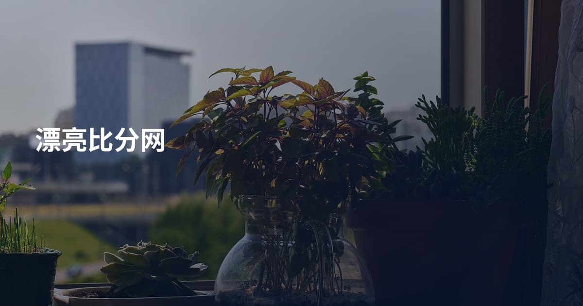 漂亮比分网