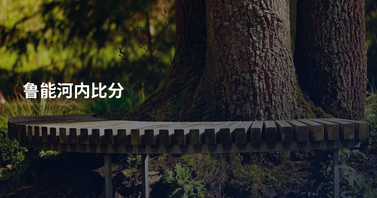 鲁能河内比分