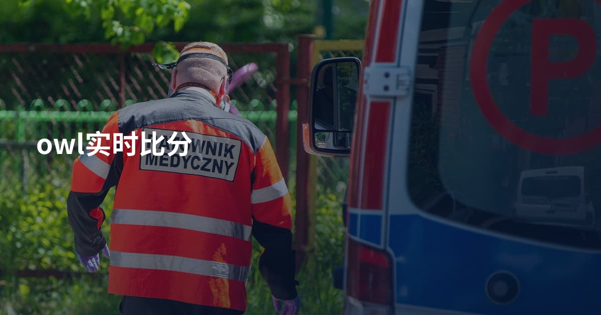 owl实时比分
