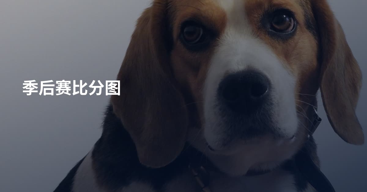 季后赛比分图