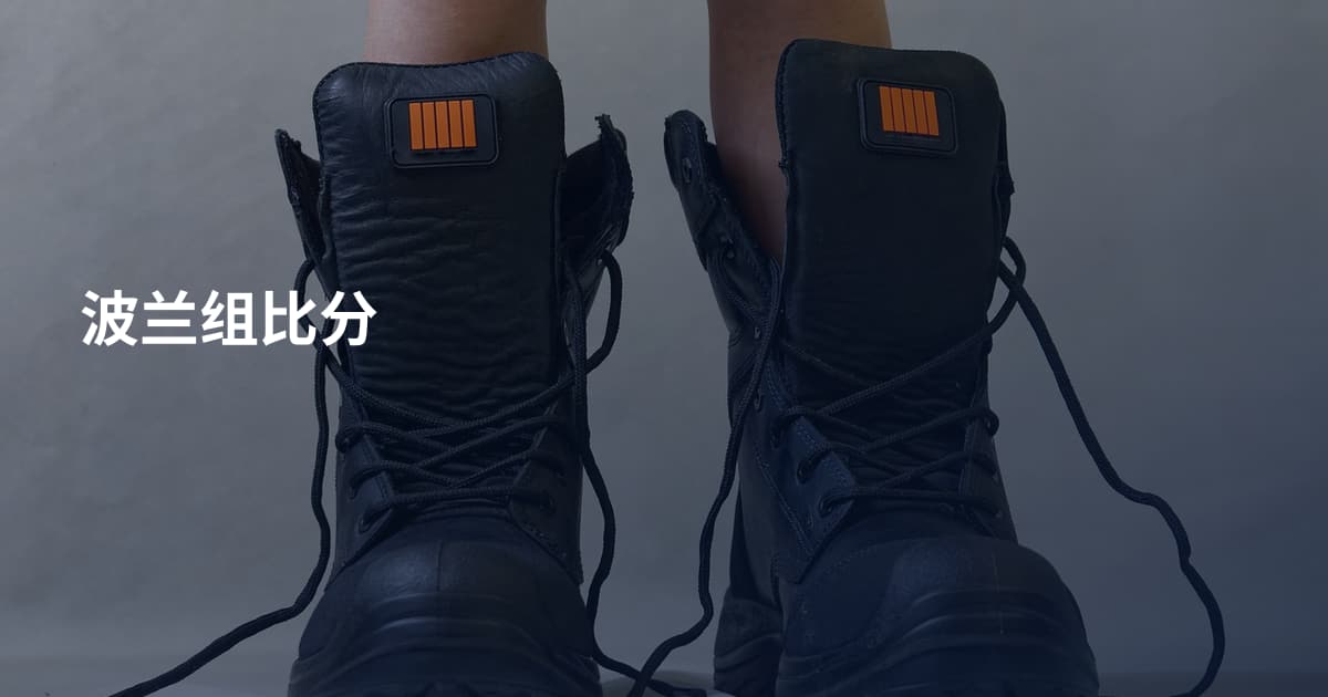 波兰组比分