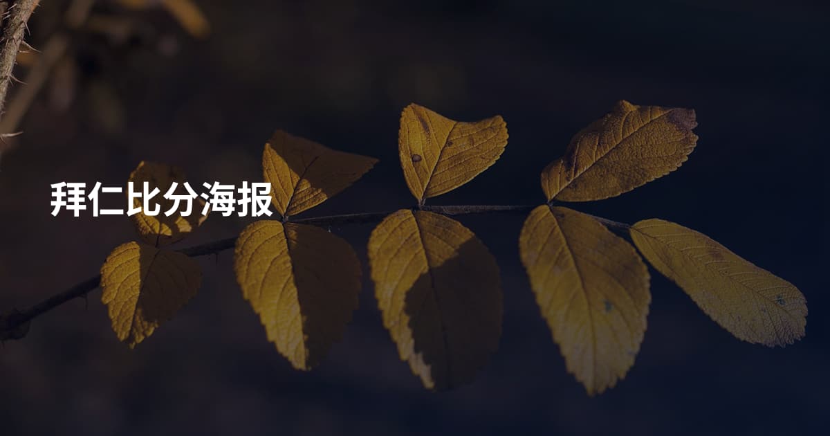 拜仁比分海报