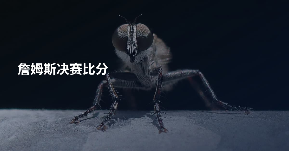 詹姆斯决赛比分