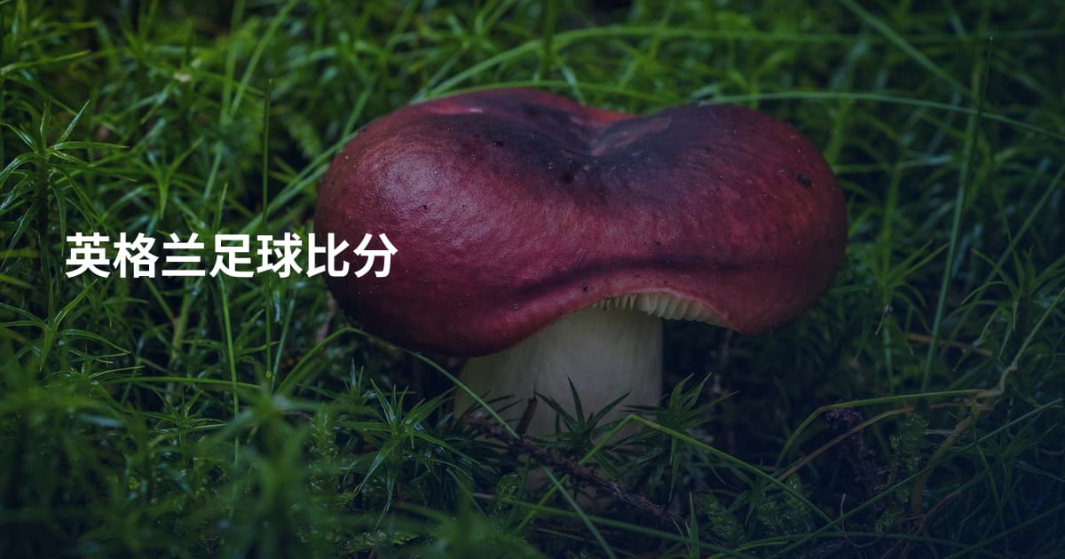 英格兰足球比分