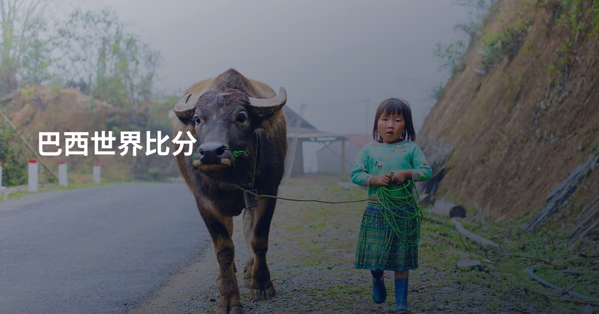 巴西世界比分