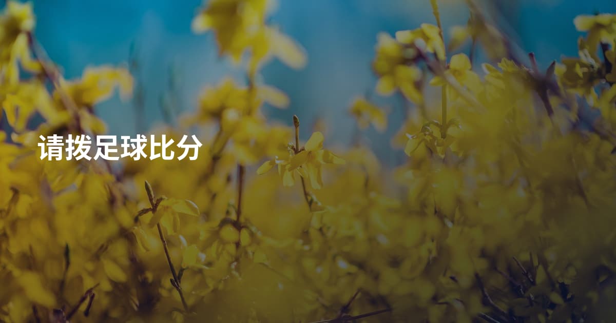 请拨足球比分